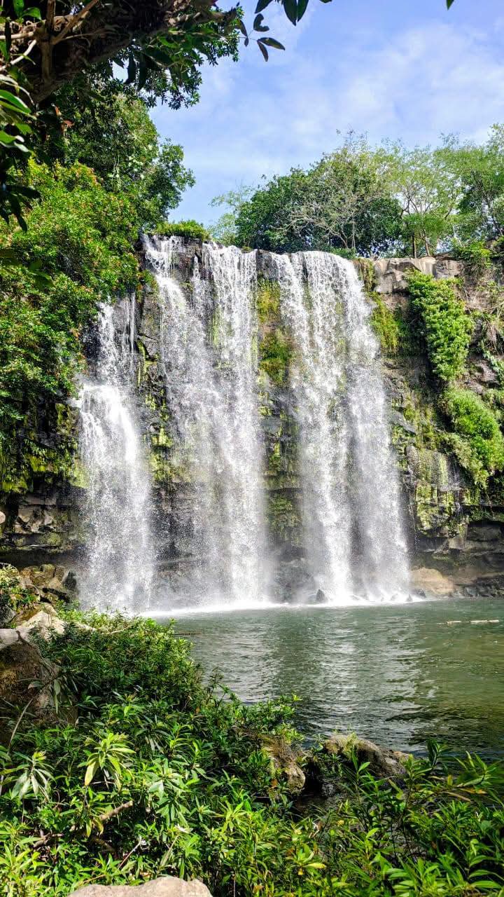 Waterfall, Sloth Walk & Coffee-Chocolate Tour