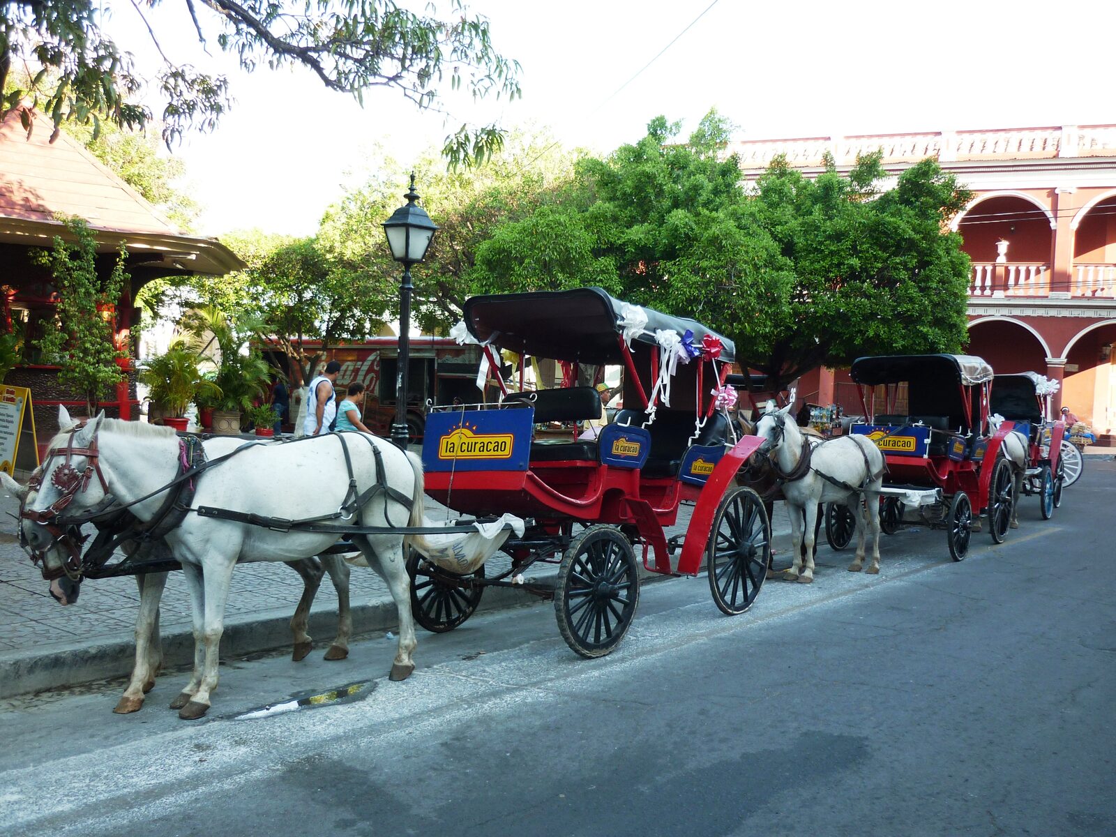 Amazing Day Trip to Nicaragua photo 3