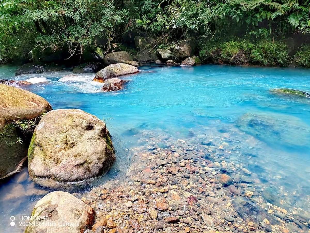 Rio Celeste Waterfall Hike & Sloth Observation photo 2