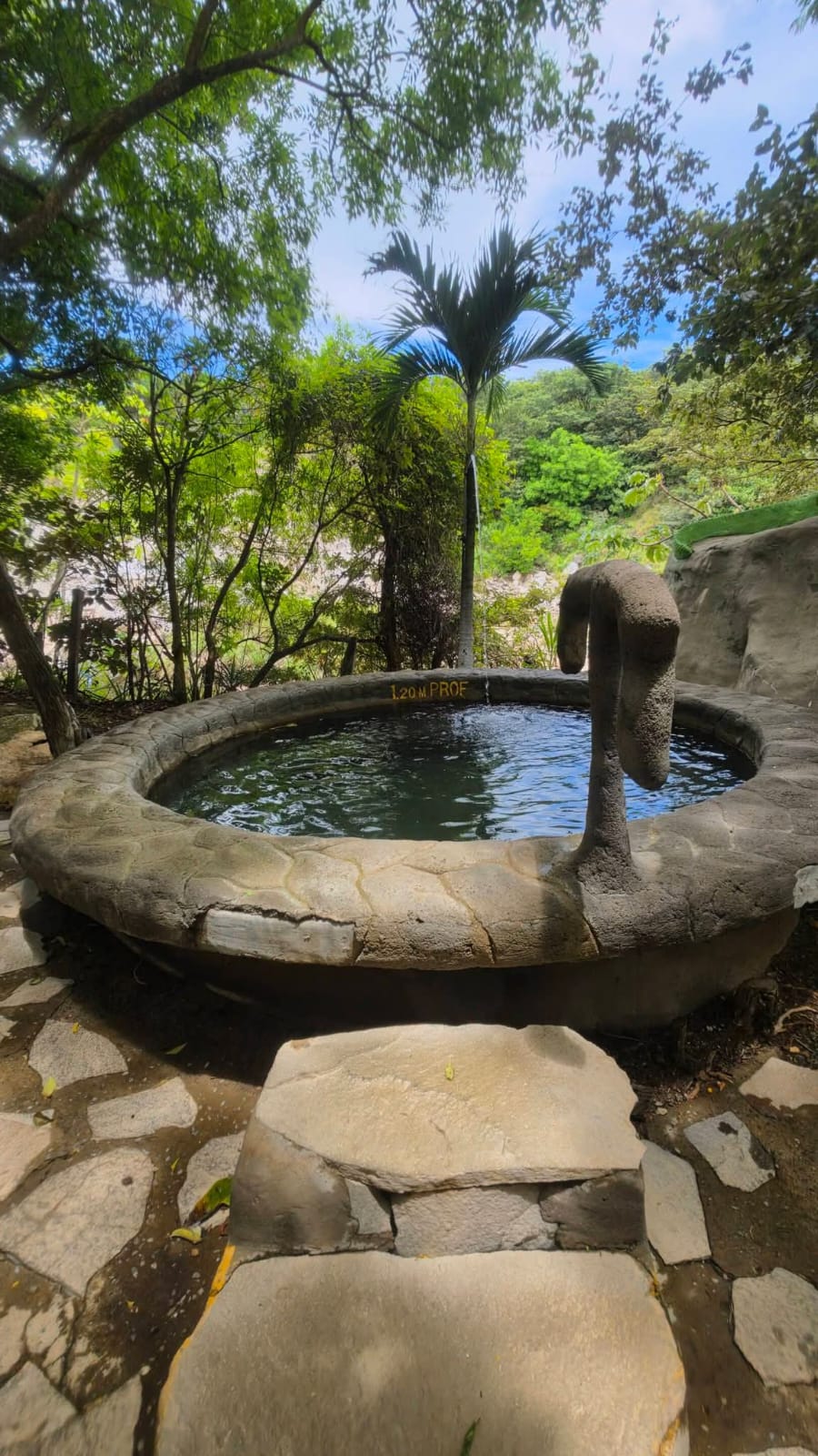 Full-Day Volcano, Hot Springs & Rainforest photo 2