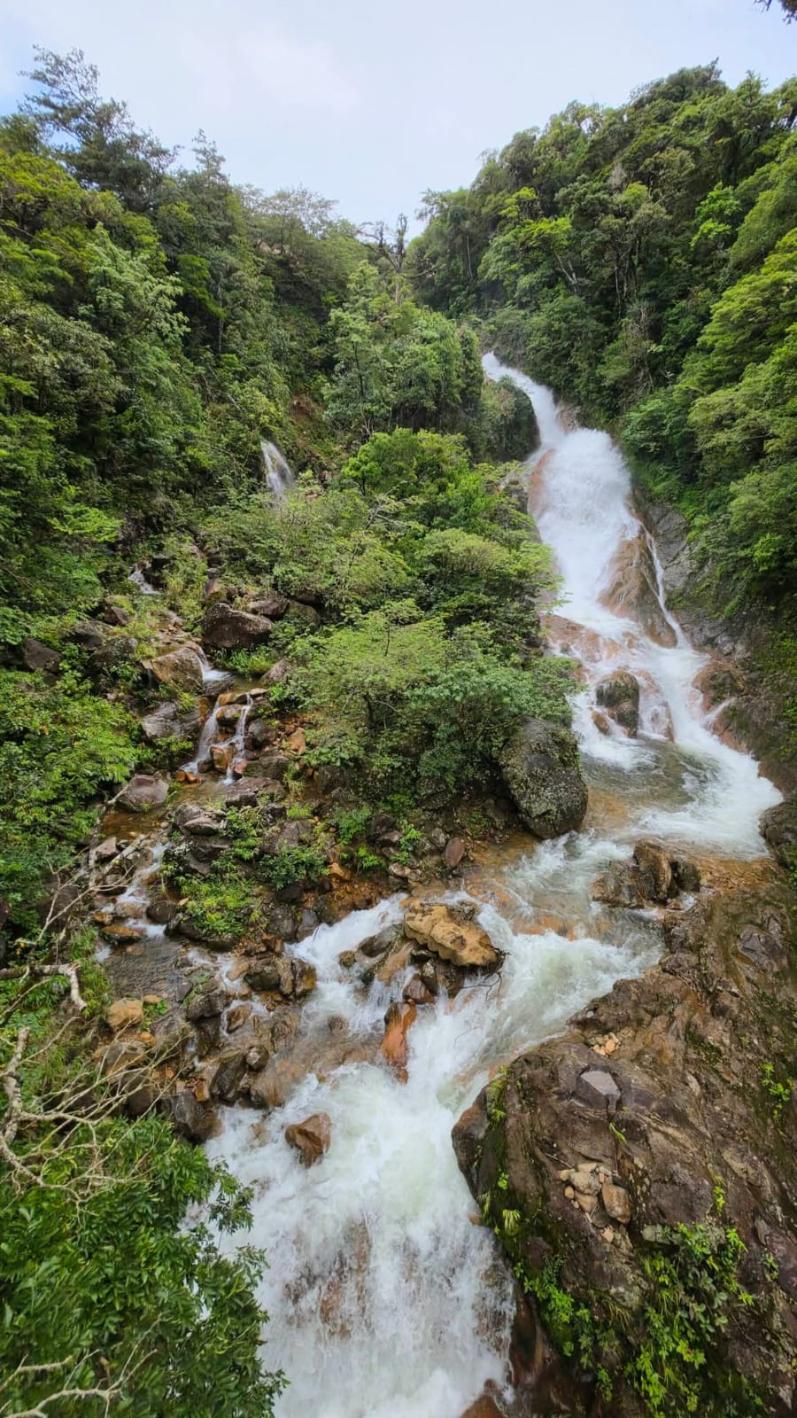 Full-Day Volcano, Hot Springs & Rainforest photo 3